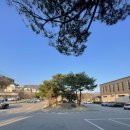 춘천대형약국 이미지