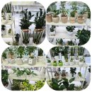 한국맥도날드(유)광주상무점 | [광주] 광주 쌍촌동 꽃집 24시 기념일 빼빼로데이 꽃배달 스마일플라워 💐