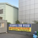 네네치킨 부산덕천점 | 부산 덕천 코지하우스 가성비 좋은 양식 파스타 맛집 여러 메뉴 먹어본 후기