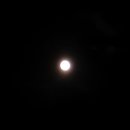 장흥수목원펜션 이미지