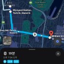 CAR UP | 시드니 렌트카 대여 후기 | 노버드 No birds 예약 비용 총정리