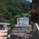 무주읍211 | 무주여행 [ 머루 와인동굴 + ATV + 무주 반딧불 축제 ]