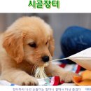 시골장터 이미지