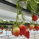 평월농장 이미지