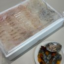 대천항수산시장 대천항 녹도수산, 도다리 갑오징어 포장해서 대전까지 😋