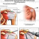서울바른척도병원 이미지
