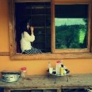 댕가댕가 이미지