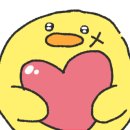 보람의료기 이미지