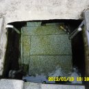 버드실샘 이미지