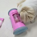 여기서 놀개 이미지