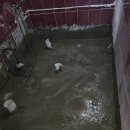 수라모텔 이미지