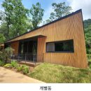 트리하우스 이미지