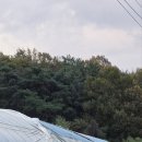 29 하우스 이미지