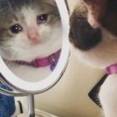 연산부인과의원 | 임신준비｜산부인과에서 배란일 받기, 배테기 사용법 (스마일배테기)