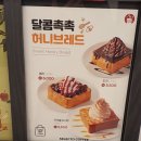 셀렉토커피속초교동점 이미지
