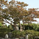 홍성여중 정문 이미지