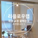 웅천청소년공원 | [여수]여수체형교정 리플로우랩, 프리미엄 전기치료까지 제대로 받고 온 평일 저녁 후기