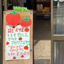 푸름드리 이미지