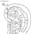 이침 경혈도 이미지