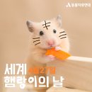 🐯세븐틴 호시 달글🐯 호랑이 동굴 62 | 세븐틴 호시, 일반인 권햄랑과의 열애설...심지어 1주년? 플레디스 측 &#34;사실이면 축하&#34; 이미지