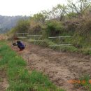 사곡농장 이미지