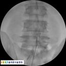 올바른서울병원 이미지