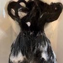 새서울 미용실 | 신논현미용실 몬도 서울 헤어 클리닉 후기: 찰랑이는 물미역 머릿결 완성!