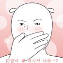 2023 레트로&뉴트로 콘서트 | [독일 직장인 일기] 250813 부다페스트 여행 2-2 부다페스트에서 마무리하는 친구들과의 여름 여행