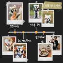 해송로 | 반려견 율무와 즐기는 송도 나들이 코스 추천 | 찹찹테이블 · 센트럴파크 · 미추홀공원 · 샬로우커피