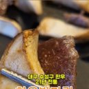 한우반마리 이미지