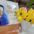 찬조 물품 책_HL5BBG 이미지
