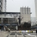 고레카레 가산점 이미지
