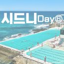 비치힐뉴(Beach Hill New) | 호주 | 시드니 여행⑥🇦🇺 쿠지비치 코스탈워크/본다이비치/왓슨스베이🌊