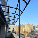 데일리 댕댕 이미지