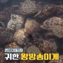김흥농장 네이버블로그