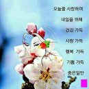 꽃향기 이미지
