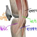 피트박스(FITBOX) 이미지