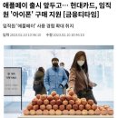 애플페이 출시 앞두고… 현대카드, 임직원 '아이폰' 구매 지원 이미지