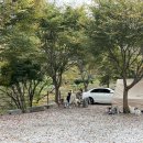 캠프더 포레 이미지