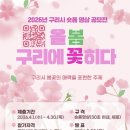 꽃히다