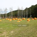 한일목장 이미지