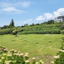 동광리-7 이미지