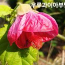 안산 식물원 이미지
