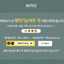 [내돈내산] 300일 셀프촬영 "더베이비드레스룸"후기