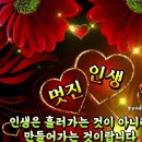 신비의료기 Daum카페