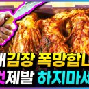 올해 김장 폭망 '이것' 제발 하지마세요! | 김치에서 이상한 냄새 쓴맛 군내가 나는 이유 이미지