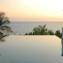 트리사라 이미지