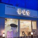 몽실캣 이미지