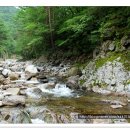 불바라기팬션 이미지