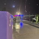 세븐일레븐 수변공원점 이미지